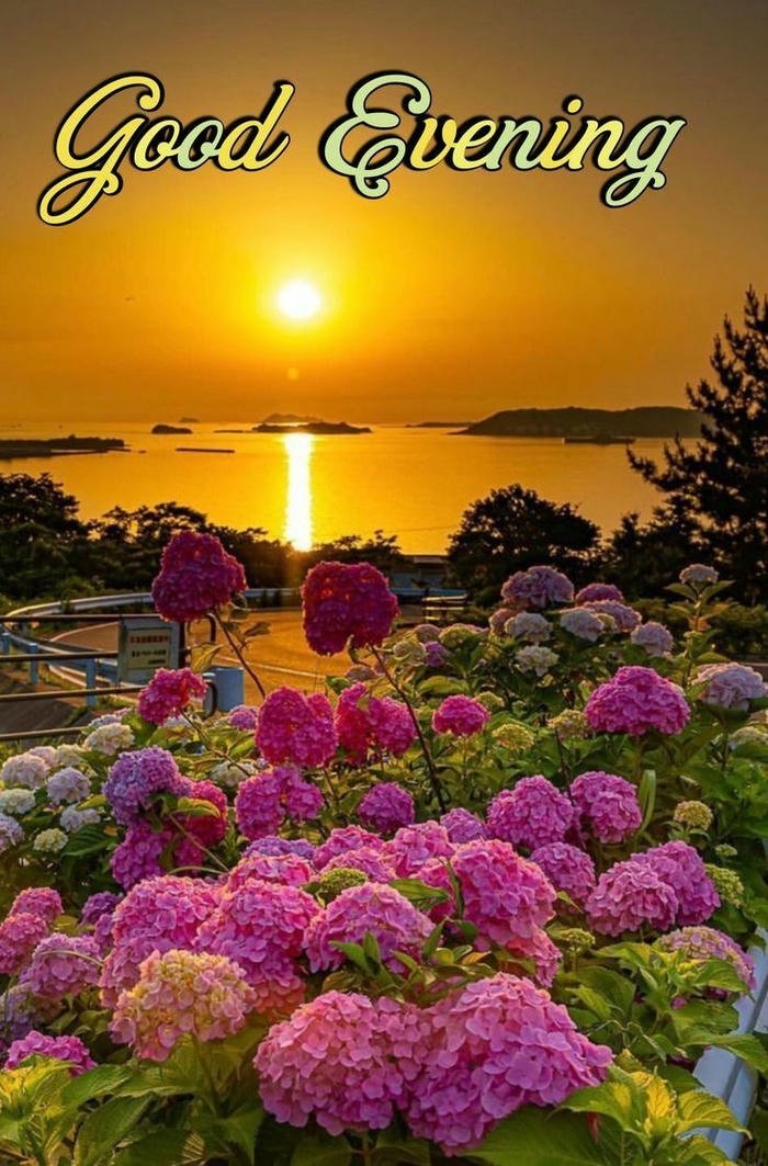 beautiful evening images