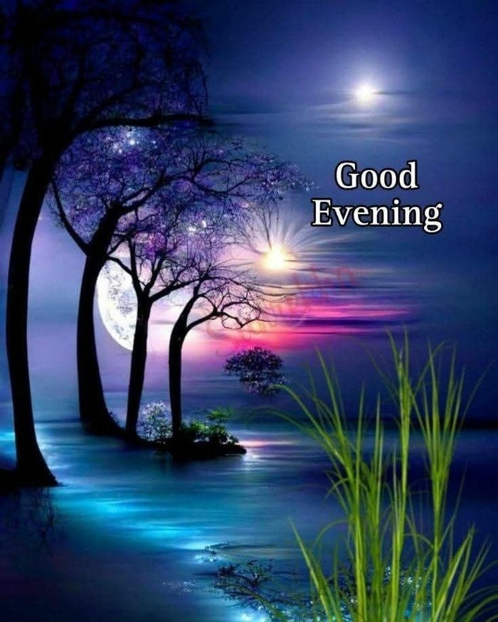 beautiful evening photo