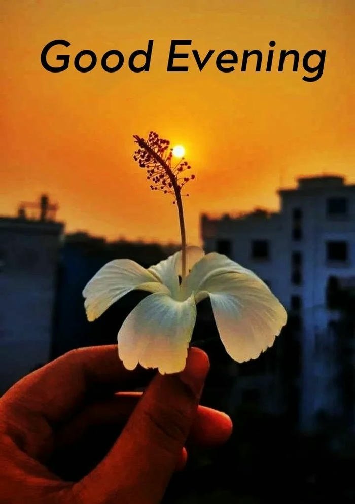 beautiful good evening pic