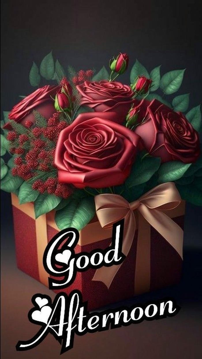 beautiful good morning rose flower