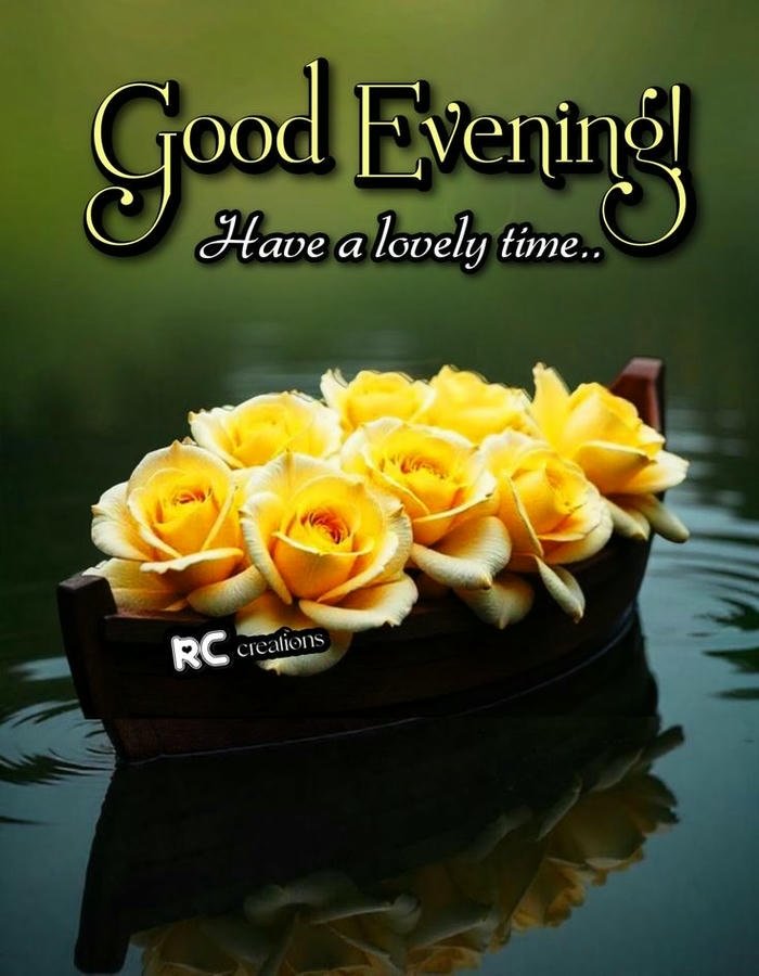 beautiful good morning yellow rose