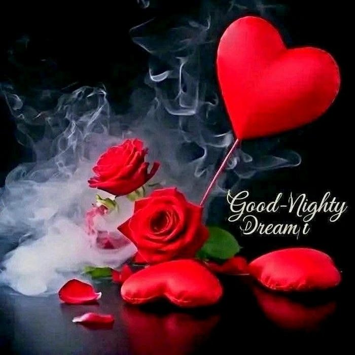 beautiful good night rose flower