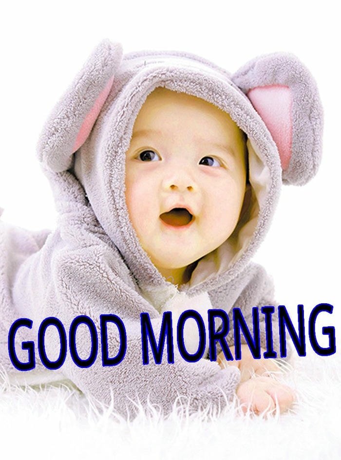 beautiful pictures of nature at morning