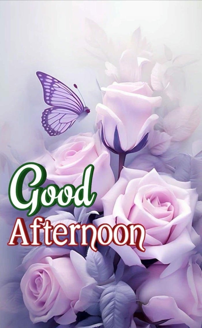 beautiful rose good morning images