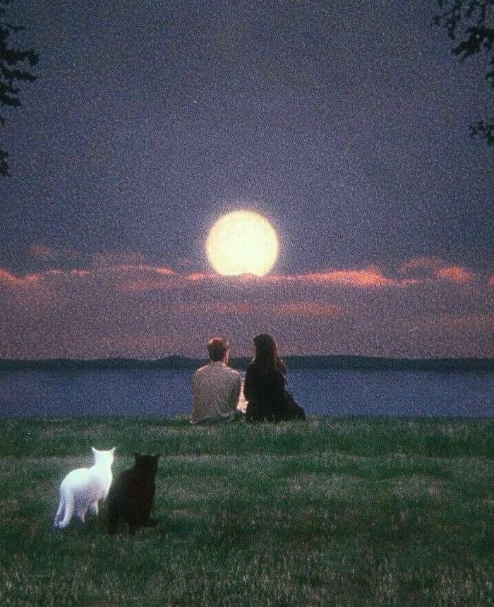 boys and girls dp for couple