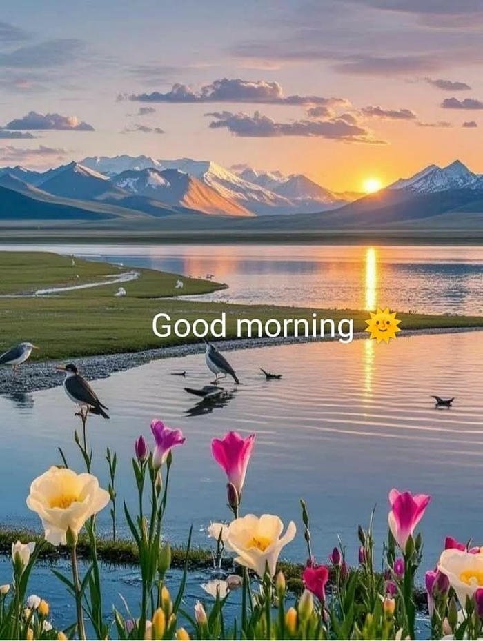 buddha good morning images download