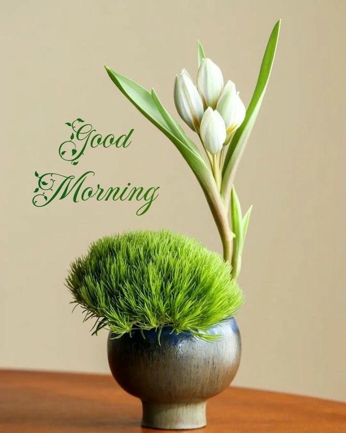 buddha good morning images marathi