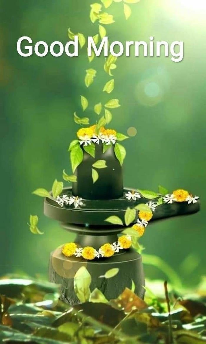 buddha morning quotes images