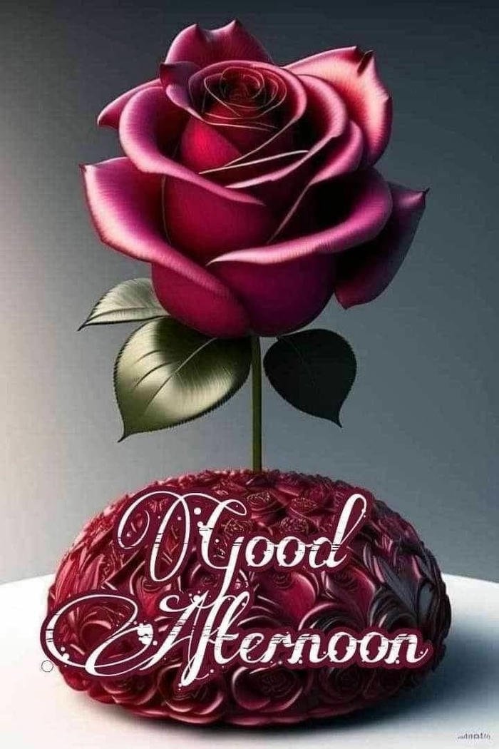 coffee rose good morning flowers