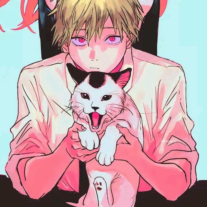 couple dp cats