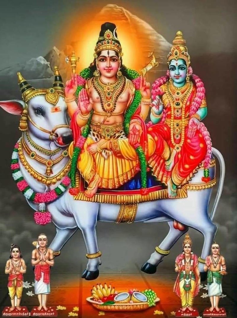 cow all gods photos