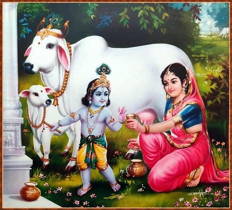 cow and calf idol