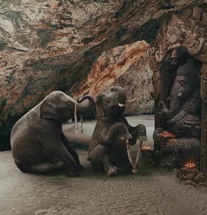 cute ganesha dp for whatsapp