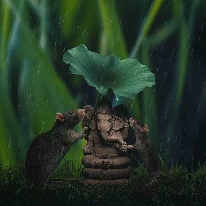 cute ganesha images hd