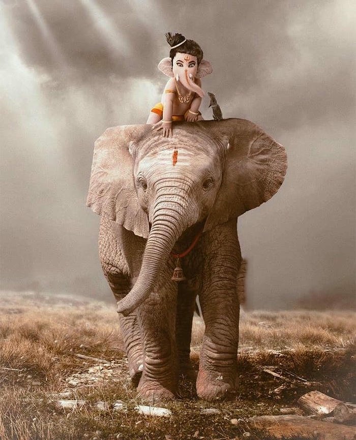 cute krishna pics for wallpaper