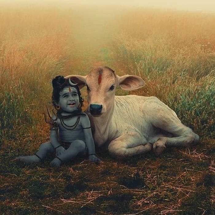 cute wallpaper ganesh photos