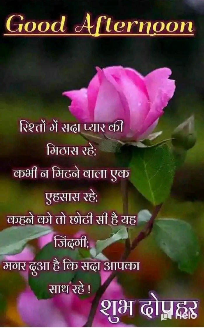 dil se good night images