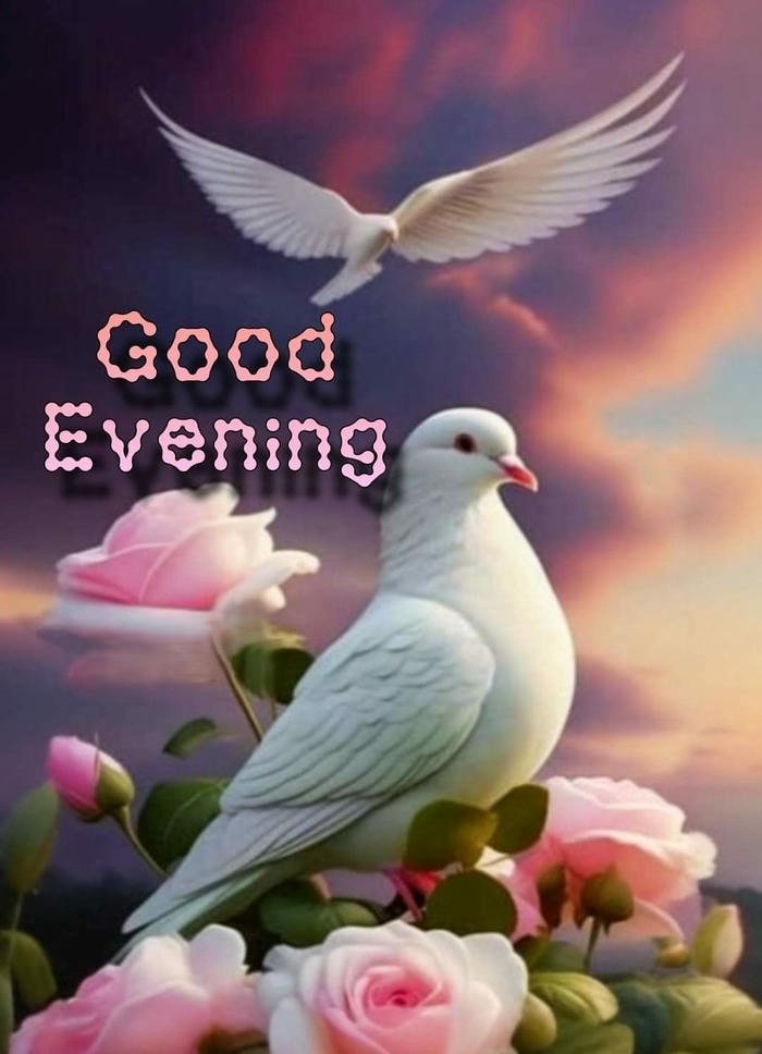 evening images
