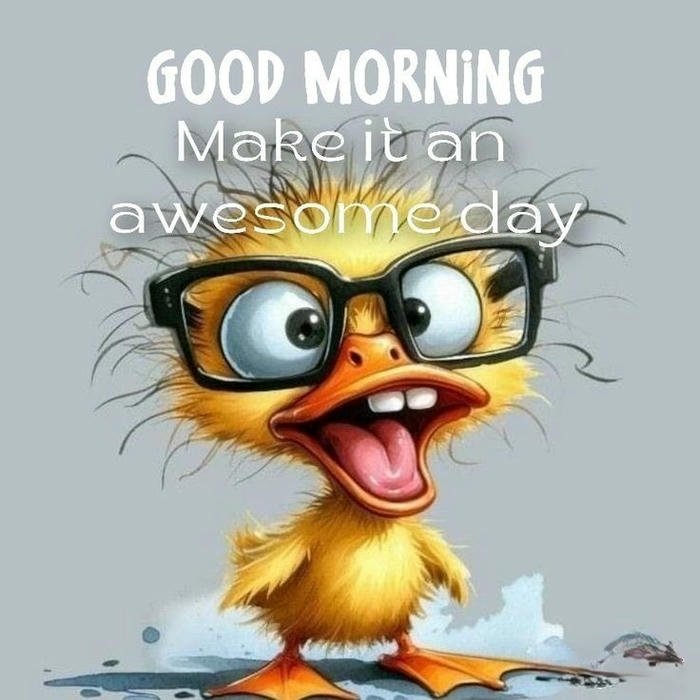 funny animated good morning gifs