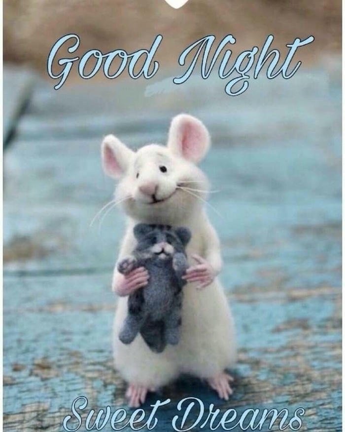 funny good bye images