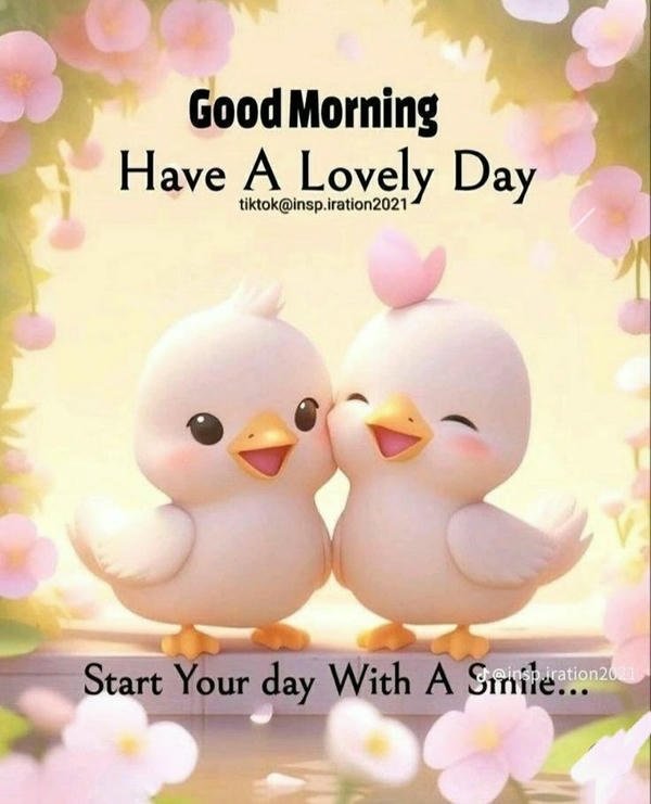 funny good morning gif