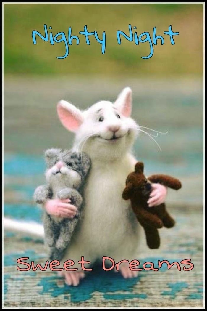 funny good night clipart