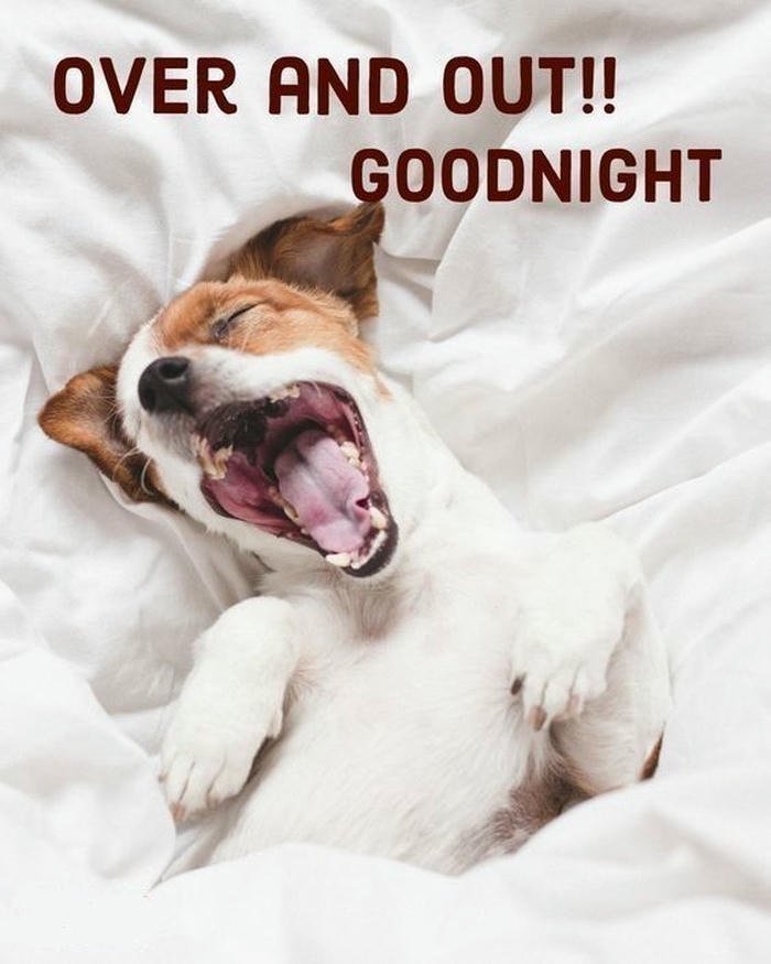 funny good night images and quotes
