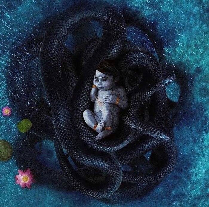 ganpati photo dp cute