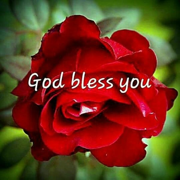 god bless you quotes images