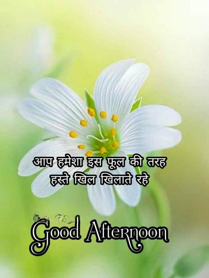 good afternoon images in hindi shayari