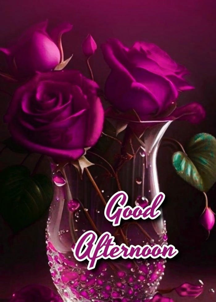 good afternoon red rose images