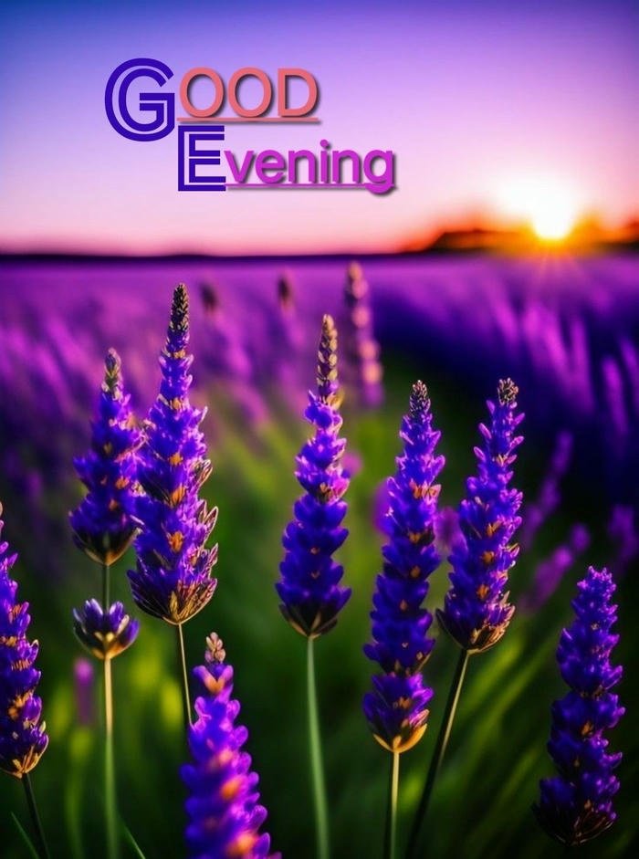 good evening cartoon images