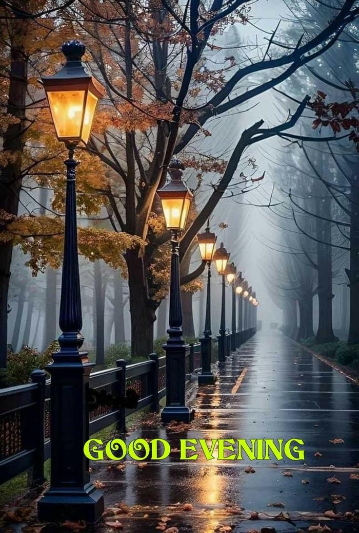 good evening everyone images