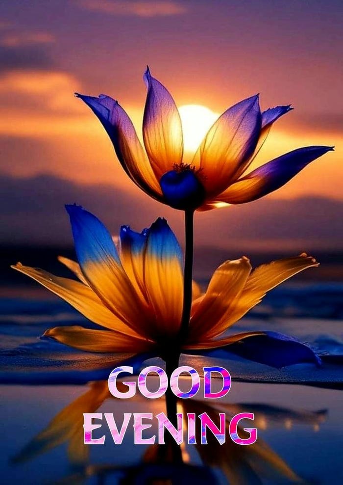 good evening friday images