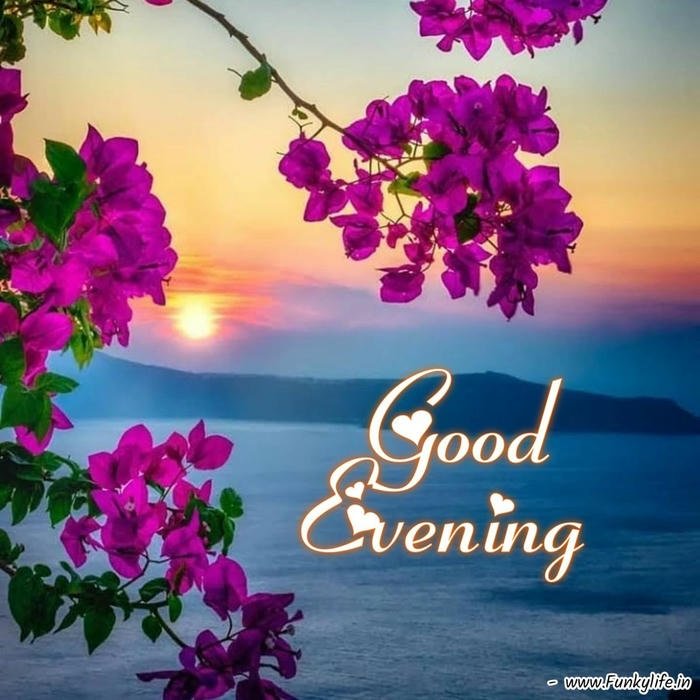 good evening & good night images