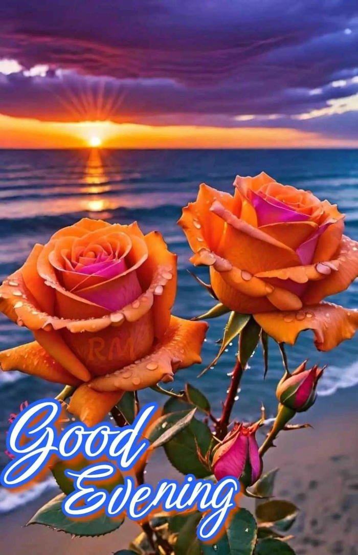good evening images for friends in english with quotes