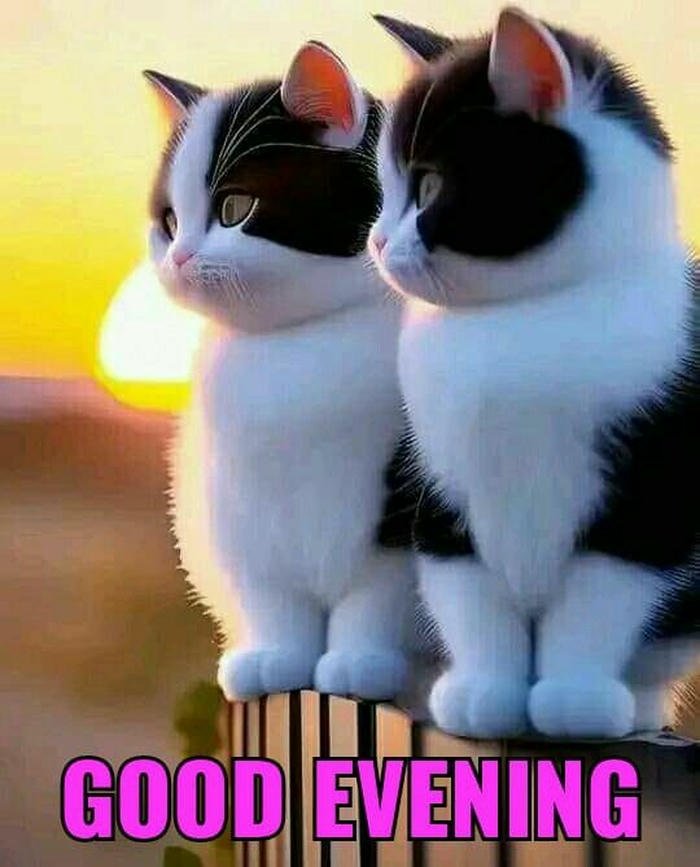 good evening images for friends in hindi