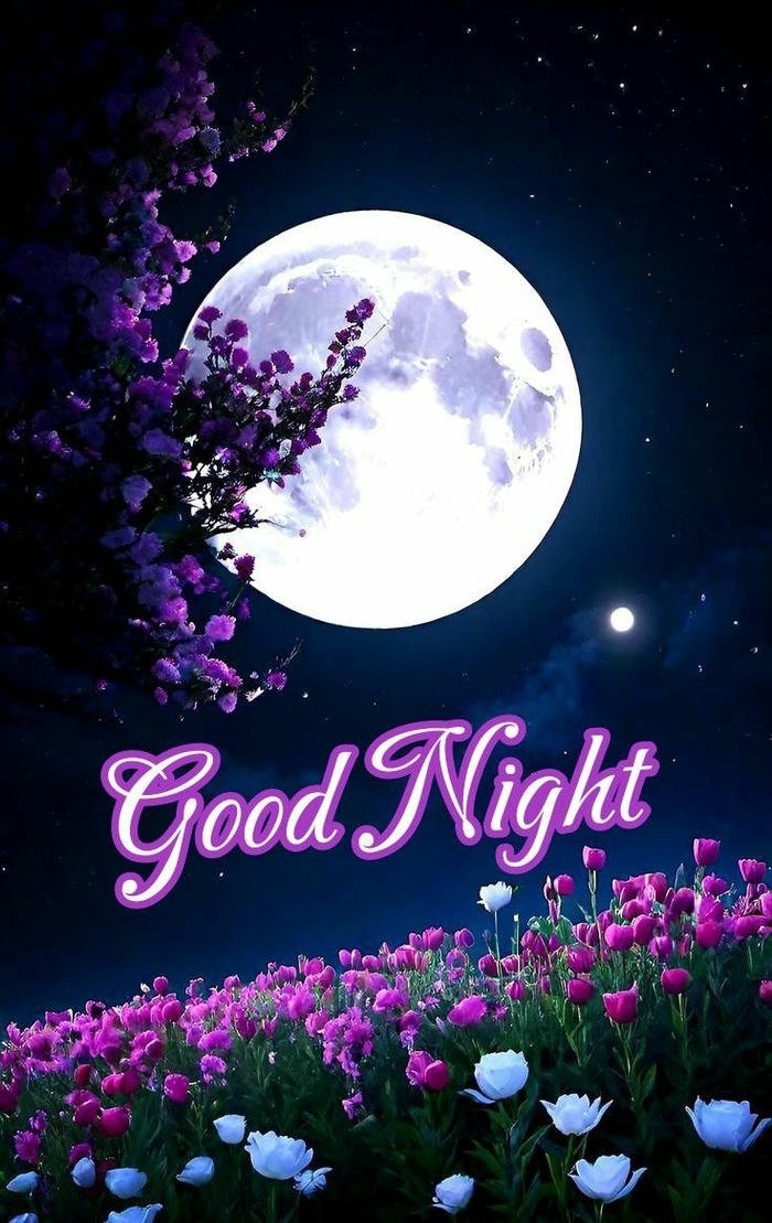 good evening images