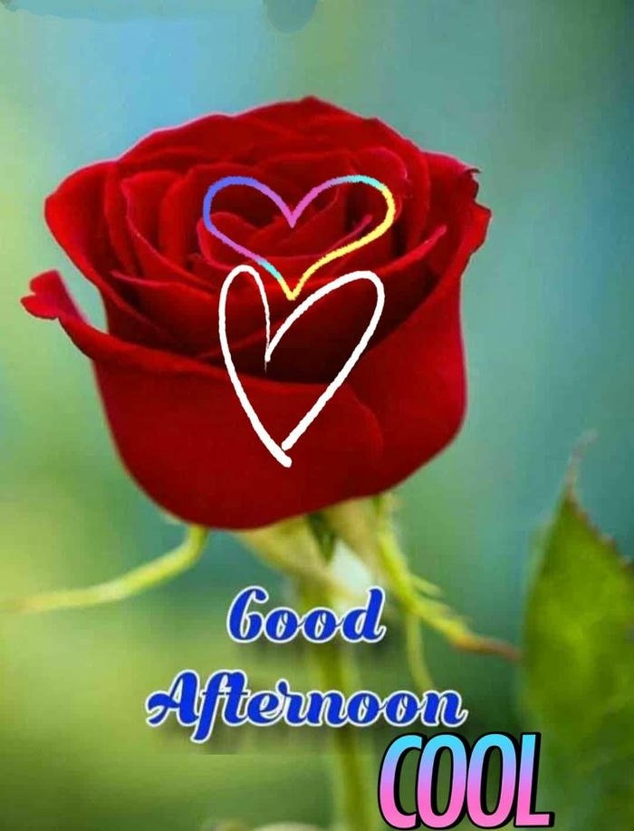 good evening love rose