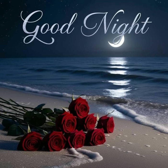 good evening roses love