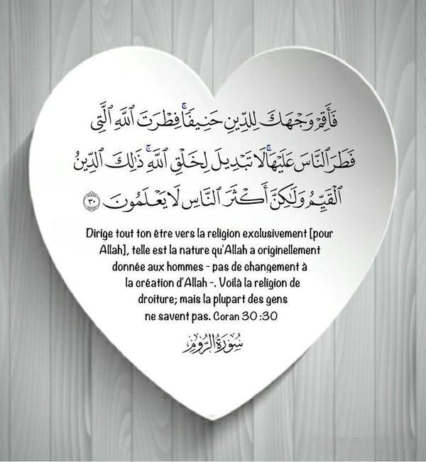 good morning arabic photo