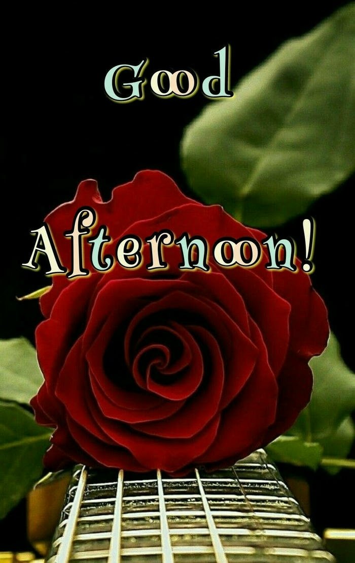 good morning images with red rose