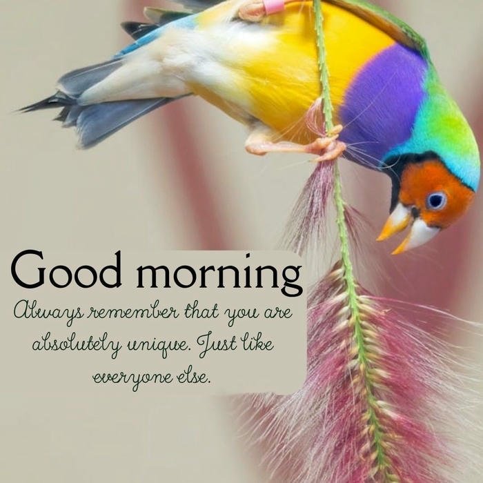 good morning monday bible verses images