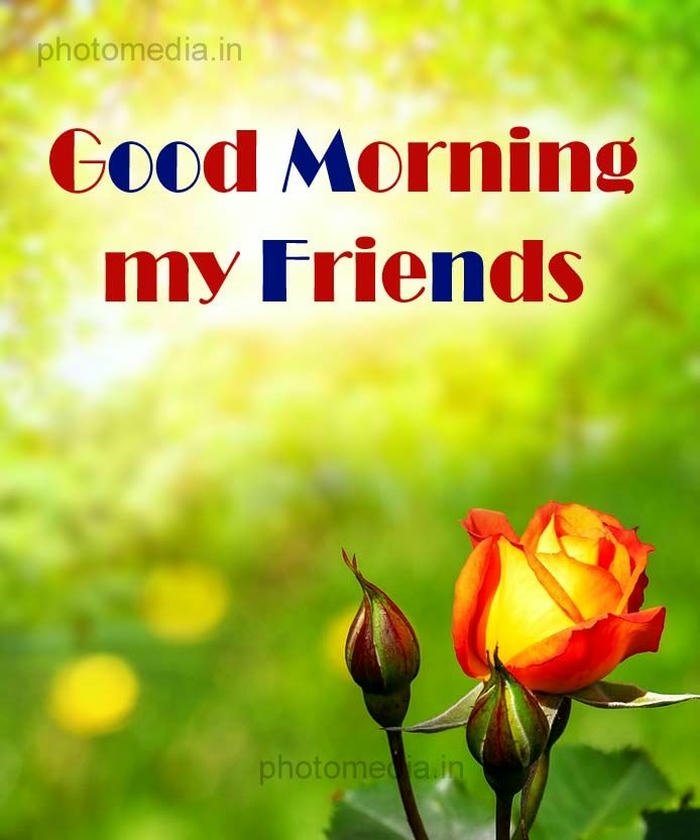 good morning my lovely friend images