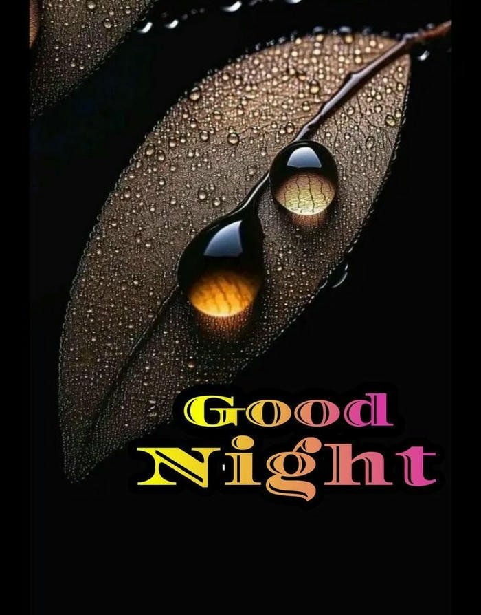 good morning pictures rainy day