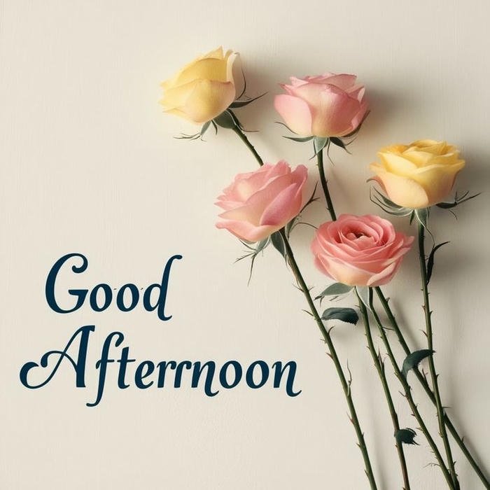 good morning rose flower