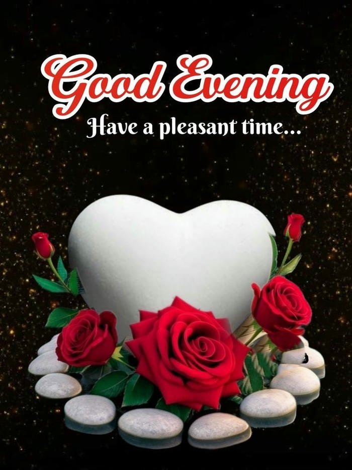 good morning roses