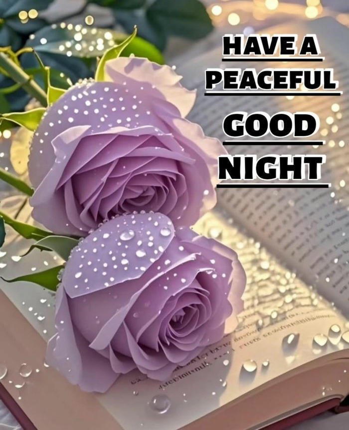 good night beautiful rose flower