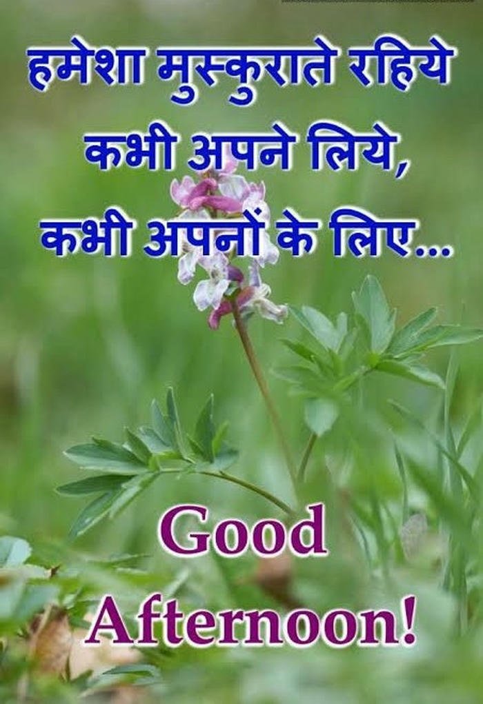 good night image gulab ka phool