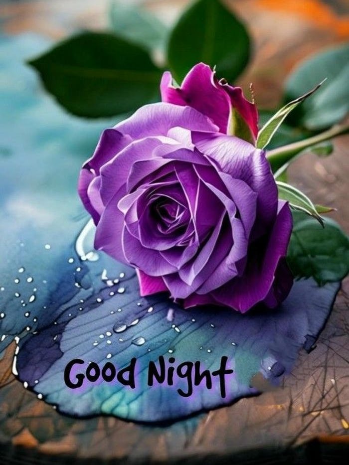 good night images with rose and heart